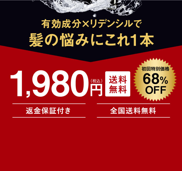 1,980円送料無料